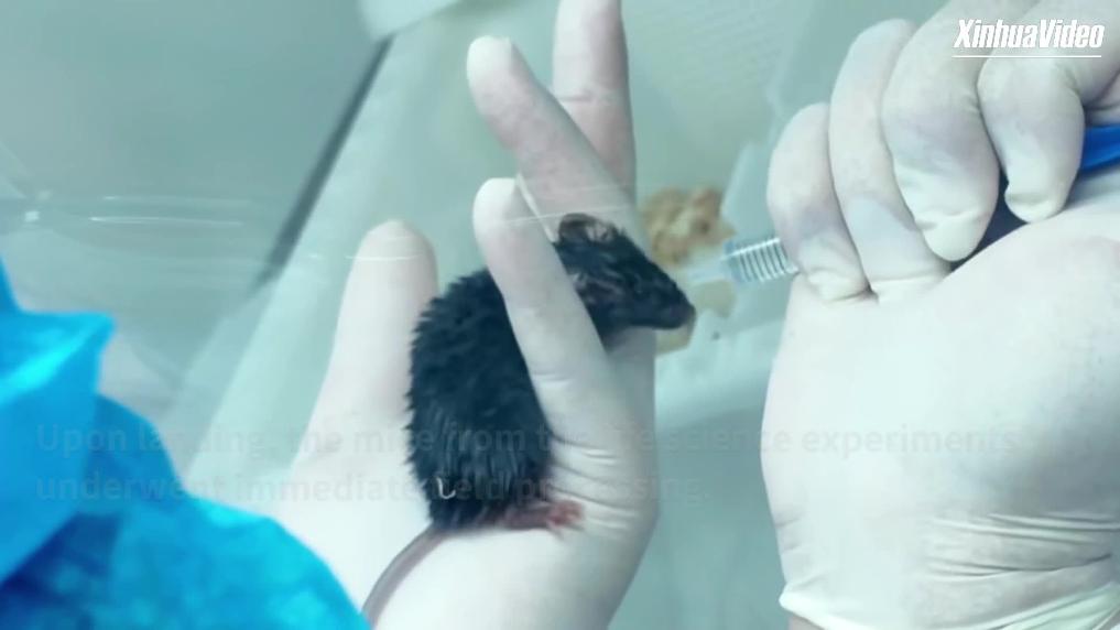 Shenzhou-21 Bawa Pulang Sampel Riset Stasiun Luar Angkasa Tiongkok-Image-1