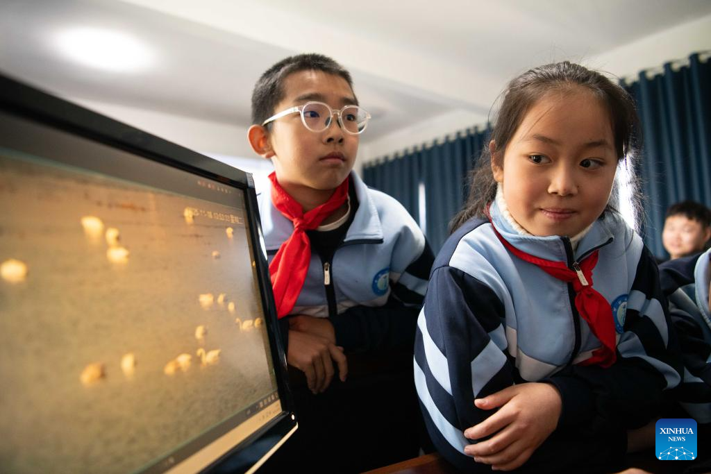 Potret : Sekolah Dasar Anhui Menjadi Percontohan Pendidikan Lahan Basah Terintegrasi di Sekolah Dasar-Image-5