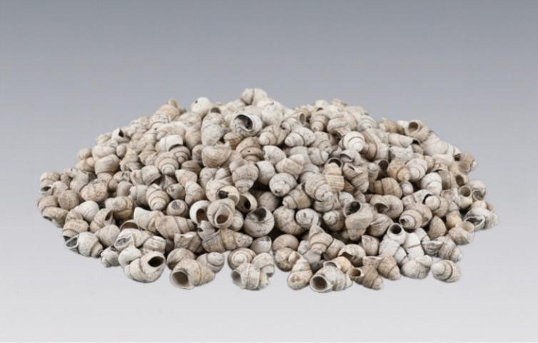 Arkeolog Temukan Situs Berusia 8.100 Tahun di Jiangsu, Tiongkok Timur-Image-2 Arkeolog Temukan Situs Berusia 8.100 Tahun di Jiangsu, Tiongkok Timur-Image-2