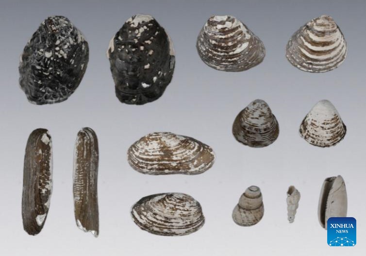 Arkeolog Temukan Situs Berusia 8.100 Tahun di Jiangsu, Tiongkok Timur-Image-3 Arkeolog Temukan Situs Berusia 8.100 Tahun di Jiangsu, Tiongkok Timur-Image-3