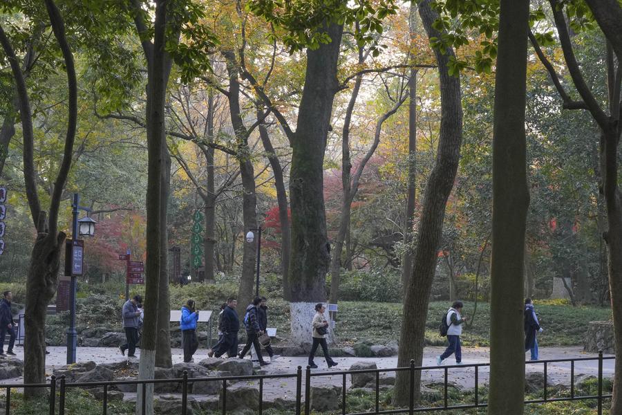 Kawasan Wisata Puncak Feilai Lingyin di Hangzhou China Luncurkan Layanan Masuk Gratis-Image-8