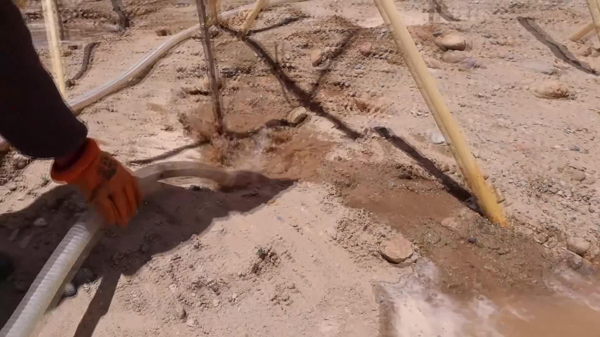 Menengok Upaya Pelestarian Ekologi di Xizang, &hellip;