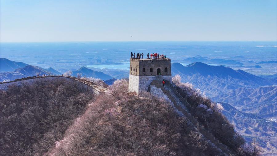 Arkeolog Temukan Meriam Besar di Situs Jiankou Tembok Besar China-Image-1 Arkeolog Temukan Meriam Besar di Situs Jiankou Tembok Besar China-Image-1