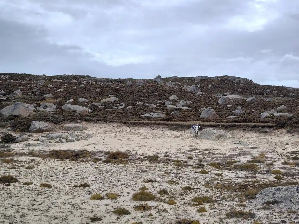 Jejak Manusia Purba di Atap Dunia: Penemuan Spektakuler di Dataran Tinggi Qinghai–Tibet-Image-1
