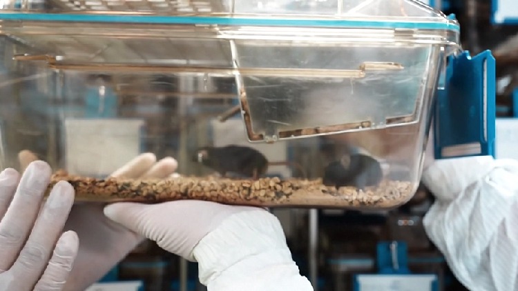 Partisipasi Publik, Tikus Misi Antariksa Tiongkok Resmi Dinamai-Image-1