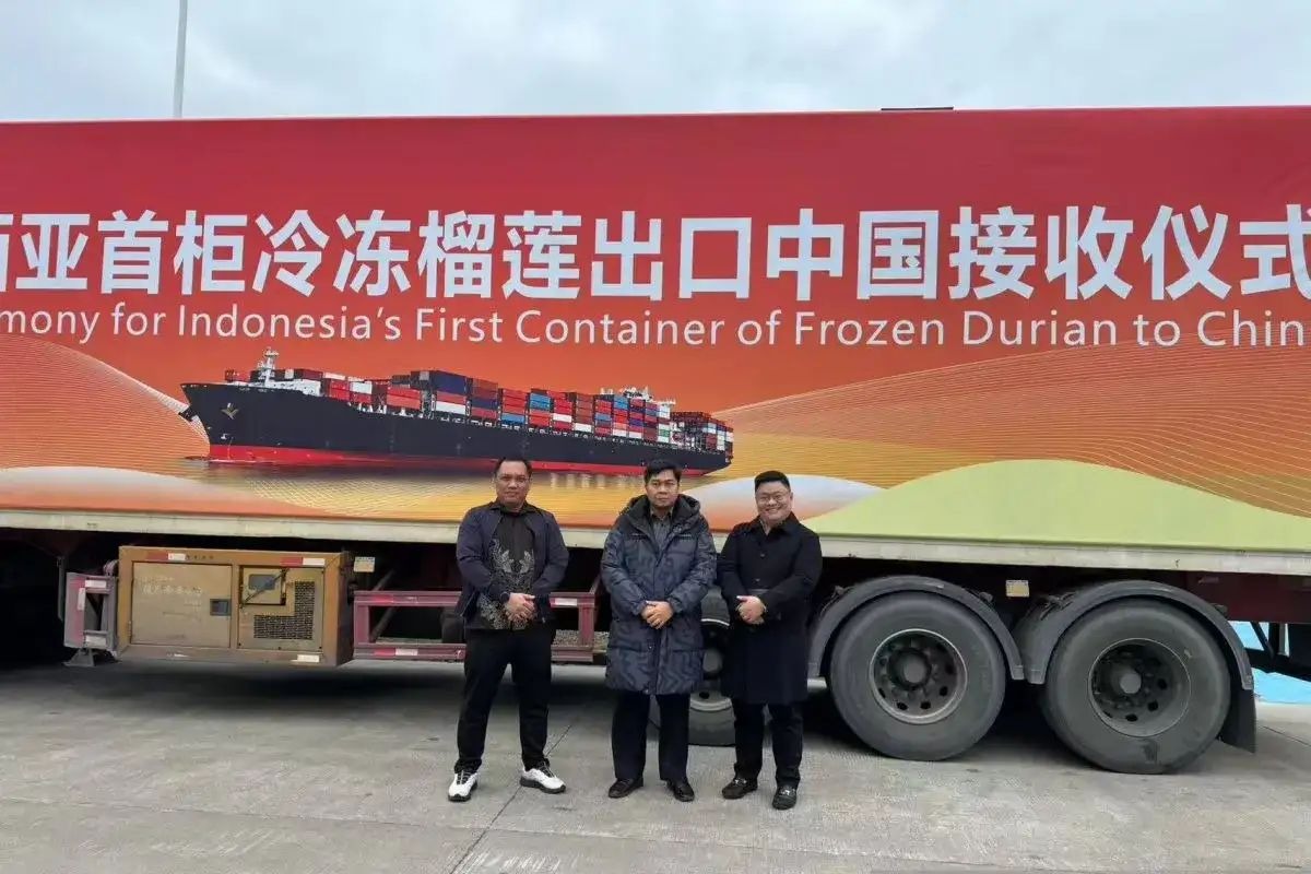 Indonesia Resmi Buka Jalur Laut Durian Beku ke Tiongkok, Perkuat Perdagangan Pertanian-Image-1