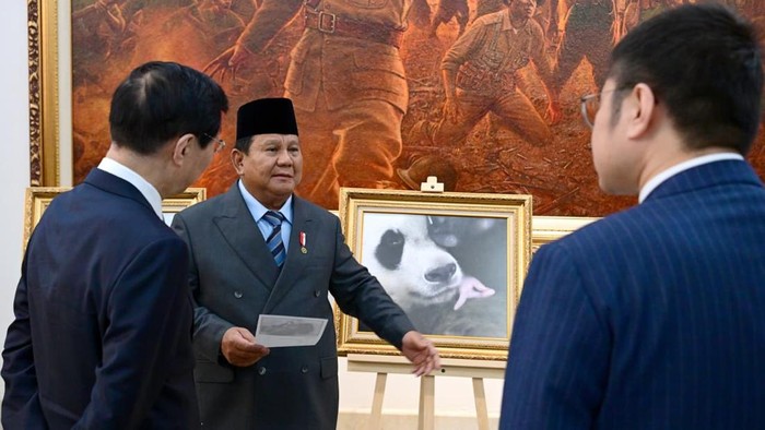 Satrio Wiratama, Nama Bayi Panda Pertama Indonesia yang di Sematkan Presiden Prabowo-Image-1