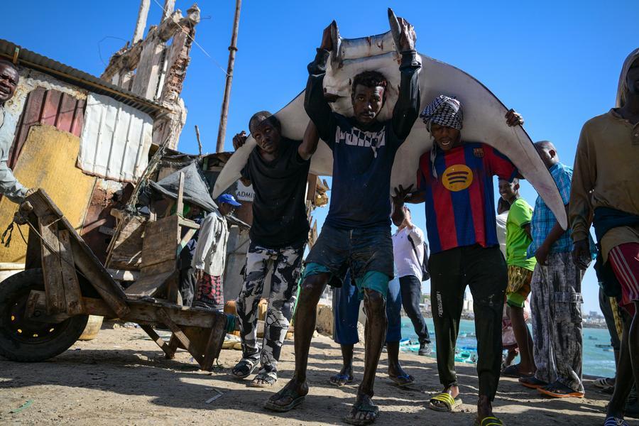Menilik Sekilas Potret Kehidupan di Sepanjang Pesisir Pantai Mogadishu, Somalia-Image-2 Menilik Sekilas Potret Kehidupan di Sepanjang Pesisir Pantai Mogadishu, Somalia-Image-2