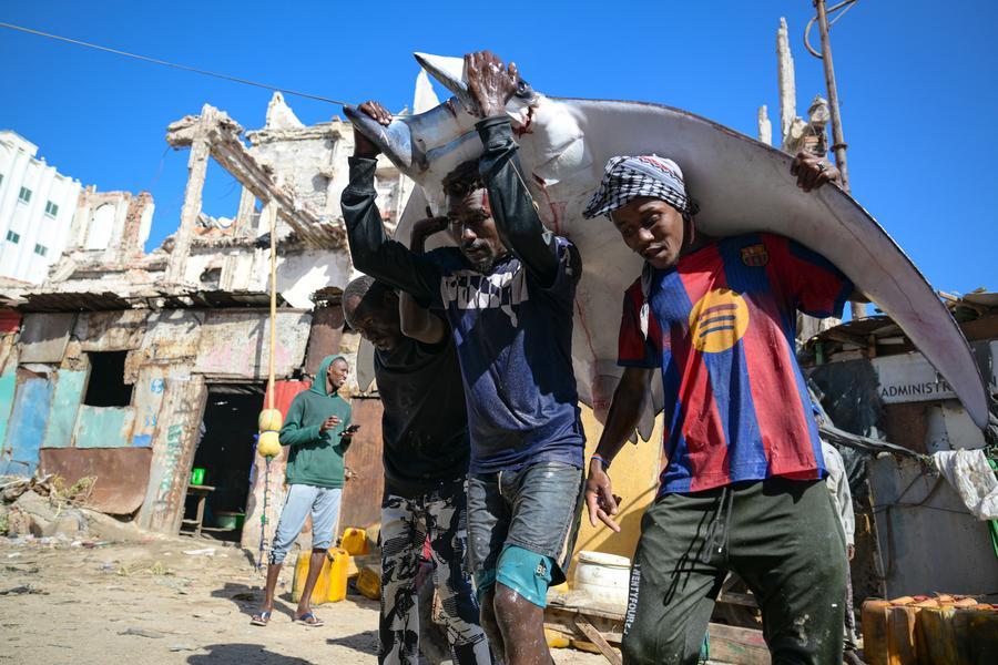 Menilik Sekilas Potret Kehidupan di Sepanjang Pesisir Pantai Mogadishu, Somalia-Image-12 Menilik Sekilas Potret Kehidupan di Sepanjang Pesisir Pantai Mogadishu, Somalia-Image-12