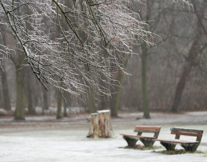 Cuaca Dingin Picu Black Ice, Layanan Transportasi Berlin Terdampak-Image-1 Cuaca Dingin Picu Black Ice, Layanan Transportasi Berlin Terdampak-Image-1