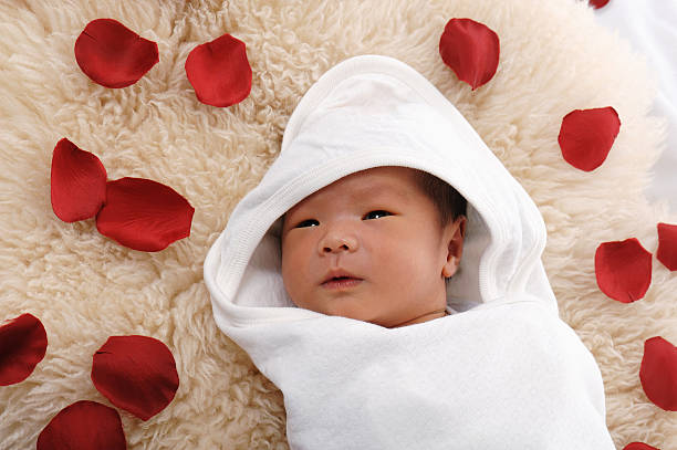 Karakter dan Keunikan Anak Lahir di Tahun Kuda Api 2026-Image-1 Karakter dan Keunikan Anak Lahir di Tahun Kuda Api 2026-Image-1