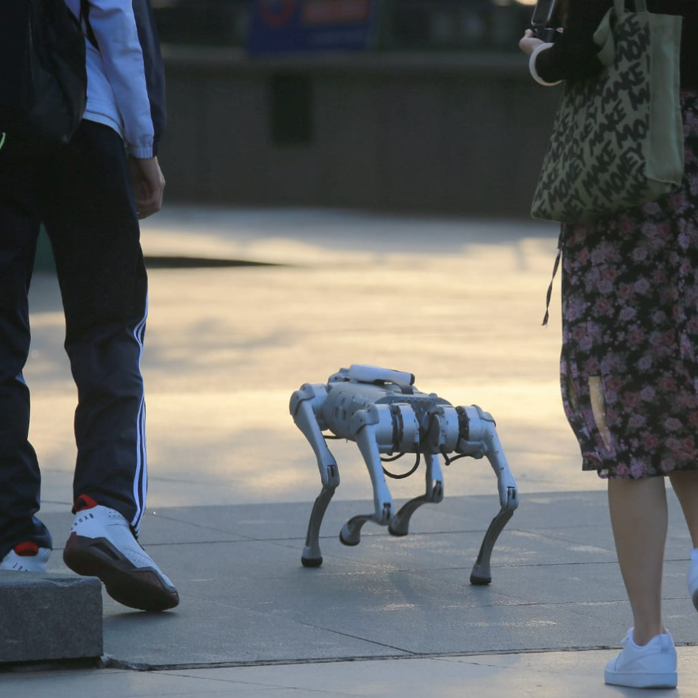 Anjing Robot Kini Populer di China