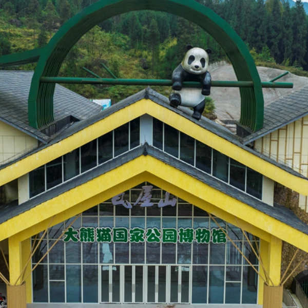 Museum Panda Modern di Sichuan Segera Dibuka