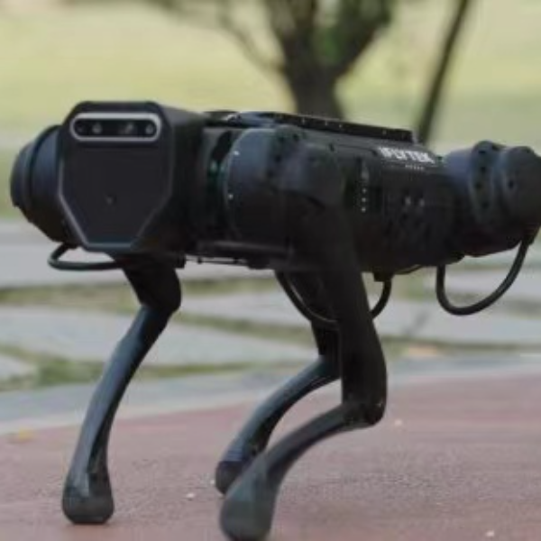 Anjing Robot iFLYTEK Bisa Pandu Orang Buta