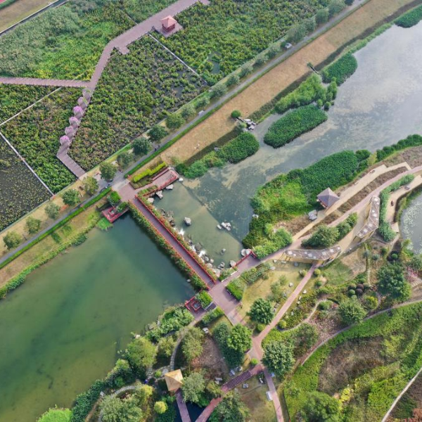 POTRET : Lahan Basah Sungai Nakao di Nanning