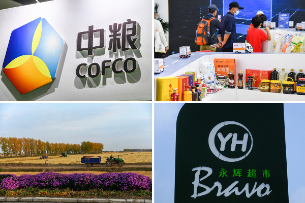 TOP 10 Perusahaan Pertanian China