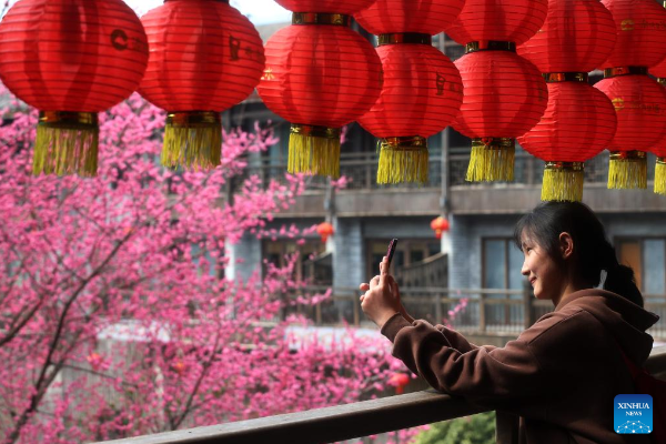 POTRET Turis Nikmati Bunga Bermekaran di Yuqing