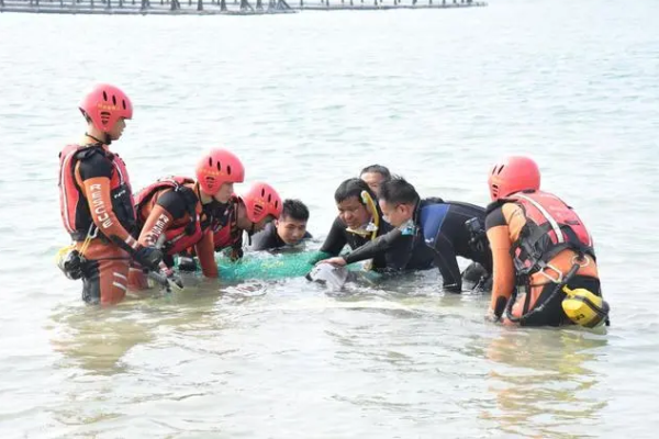 Lumba Lumba Terdampar di Hainan Dilautkan Lagi