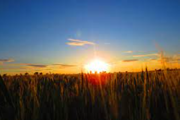 Filosofi China di Balik Istilah Matahari Grain &hellip;