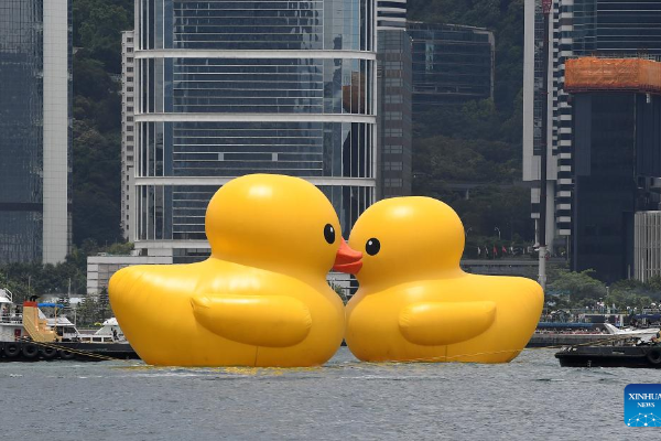 Sepasang Bebek Raksasa Mengapung di Pelabuhan &hellip;