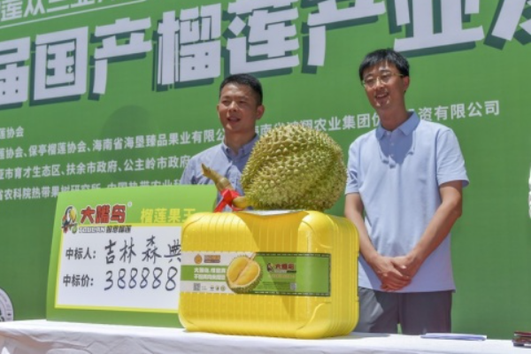 POTRET  Durian 6,91 Kilogram Dilelang 388 Ribu &hellip;