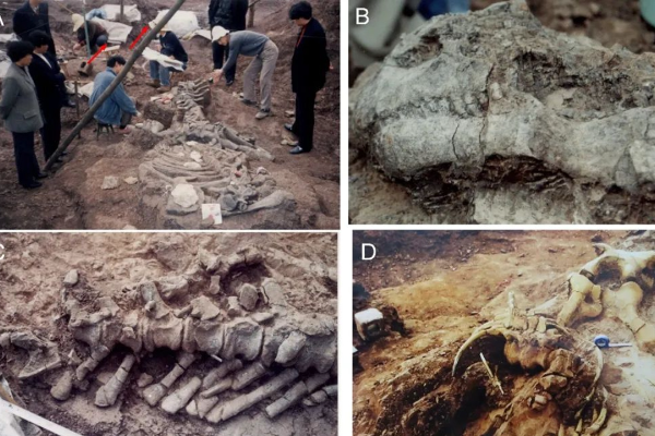 Fosil Dinosaurus Tertua dan Telur Ditemukan di &hellip;