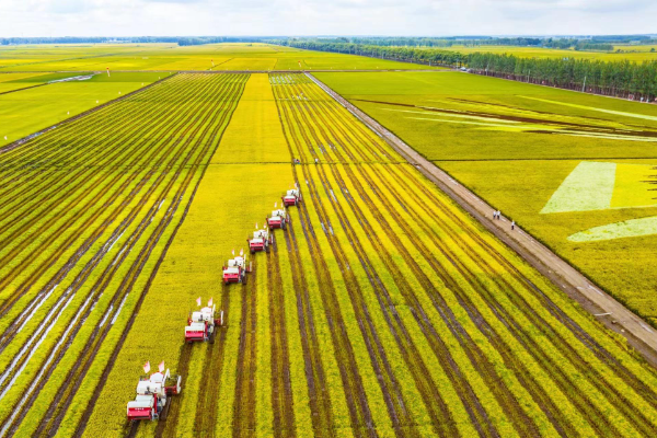 Mayoritas Pertanian di Xizang Standar Tinggi