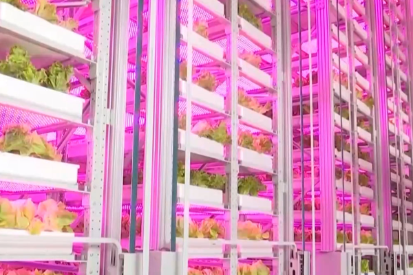 China Bangun Pertanian Robotik di Gedung 20 Lantai