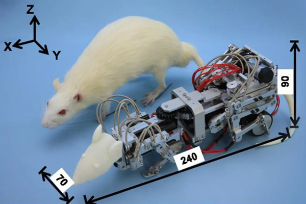 Ilmuwan China-Jerman Bikin Robot Tulang Belakang &hellip;