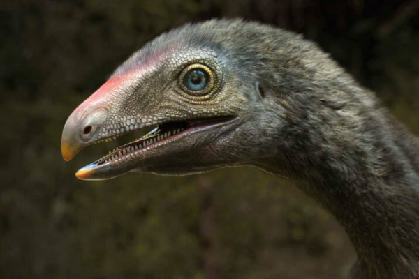 Paleontolog China dan Brasil Jadikan Pterosaurus &hellip;