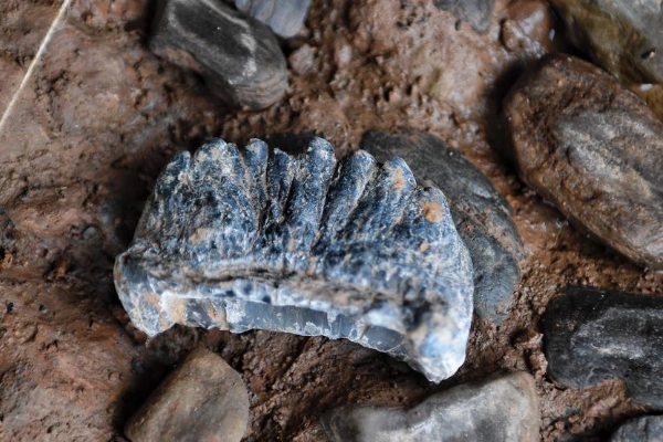 Situs Paleolitik Ditemukan di Barat Daya China
