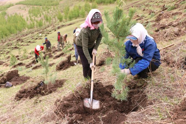 Pemerintah China Tanami 4 Juta Hektar Hutan pada &hellip;