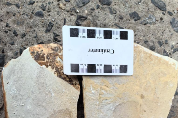 Fosil Berumur 540 Juta Tahun Ditemukan di Hunan