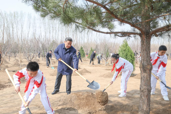 Xi Jinping Ikut Tanam Pohon di Beijing