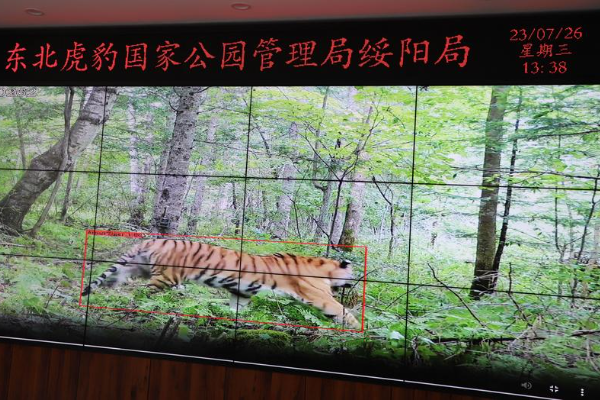 China Berupaya Bangun Sistem Taman Nasional &hellip;