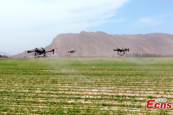 POTRET: Pemakaian Teknologi Drone di Ladang Kapas &hellip;