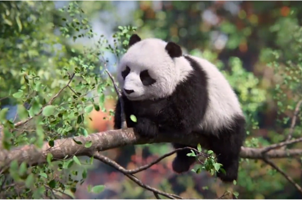 Teknologi AI Perkenalkan Panda Raksasa China &hellip;