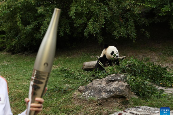 Panda Raksasa China Jadi Saksi Pawai Obor &hellip;