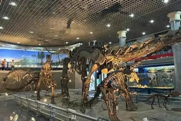 Lokasi baru Museum Sejarah Alam China akan dibuka &hellip;