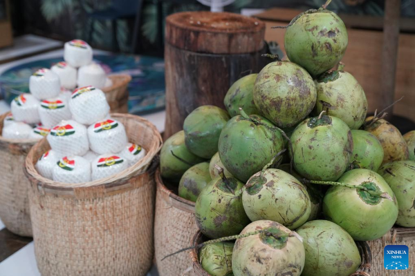 China Impor Kelapa Segar Pertama Dari Indonesia