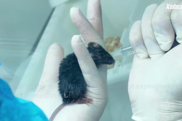 Shenzhou-21 Bawa Pulang Sampel Riset Stasiun Luar &hellip;