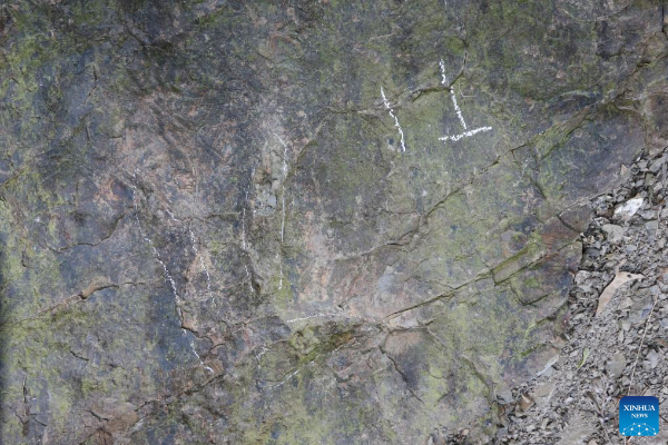 Jejak Kaki Dinosaurus 200 juta Tahun Ditemukan di &hellip;