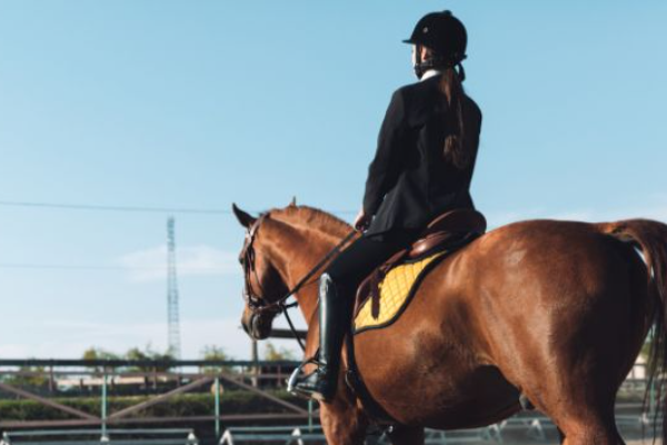 Pejabat Xinjiang dan “Rural Influencer” &hellip;