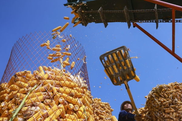 Ilmuwan China Tingkatkan Produktivitas Konversi &hellip;